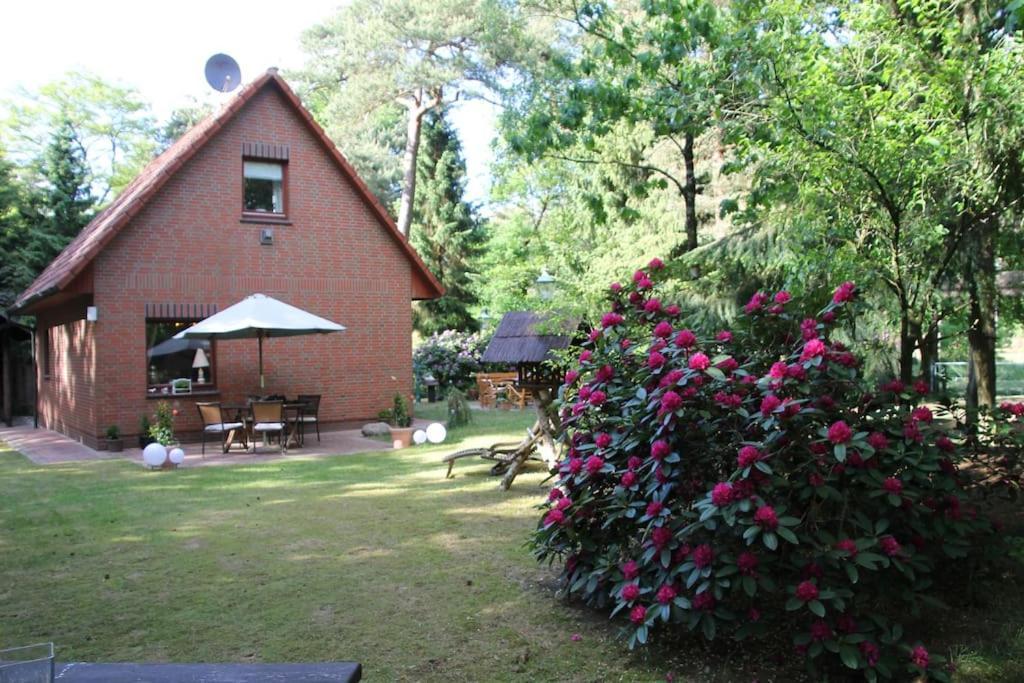 Ferienhaus Am Waldesrand Hatten Exterior foto